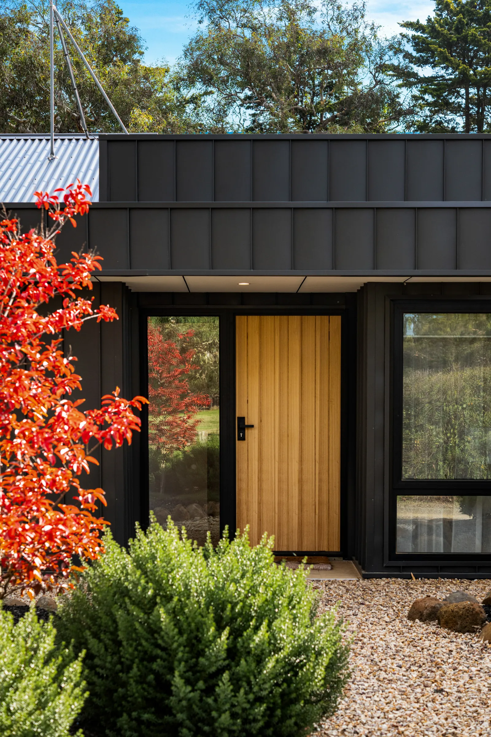 Timber front door in dark cladding beside a red maple at Mason Road, Bannockburn